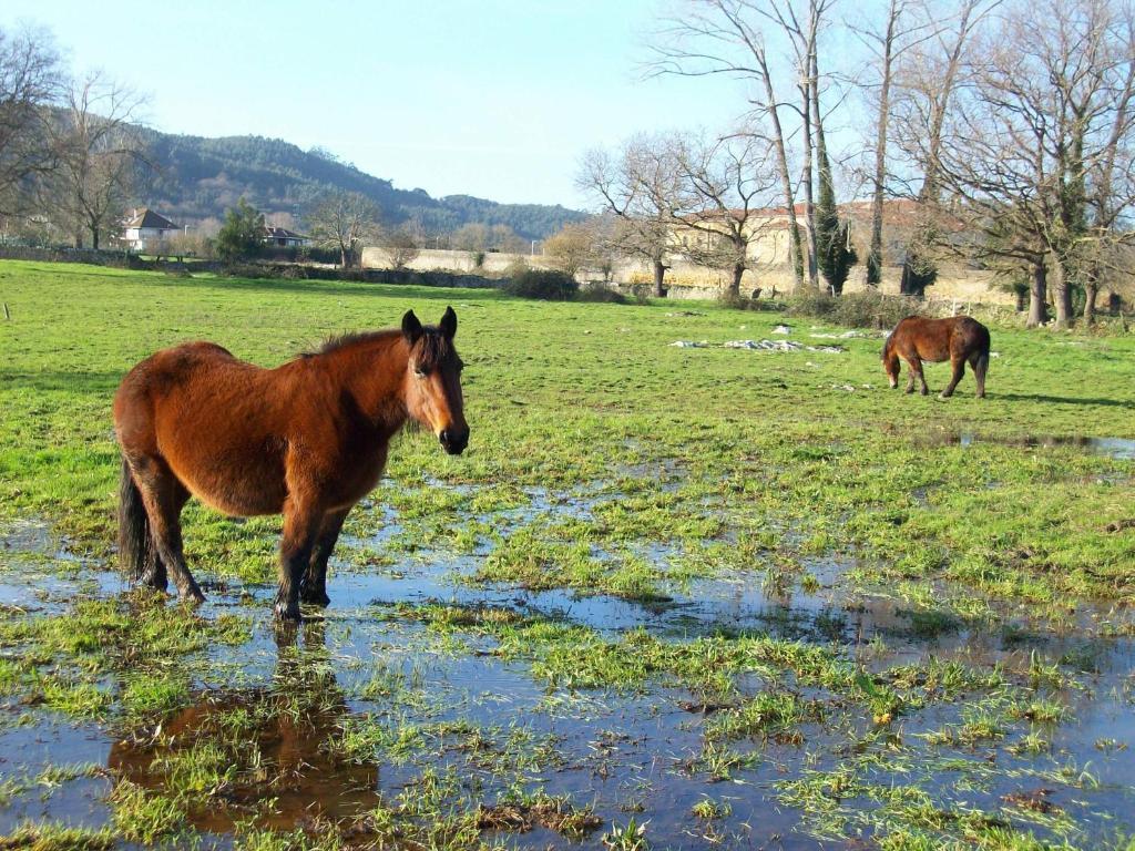Hotel Rural En Escalante Las Solanas Zewnętrze zdjęcie